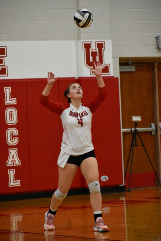 Union Local has no trouble in DII volleyball tourney opener News, Sports, Jobs The Times Leader